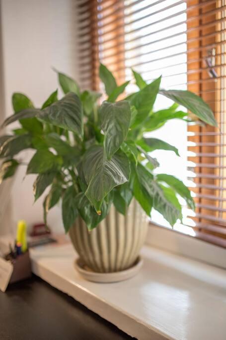 A Lovely Apartment Near Railway Station And Arena. تامبير المظهر الخارجي الصورة