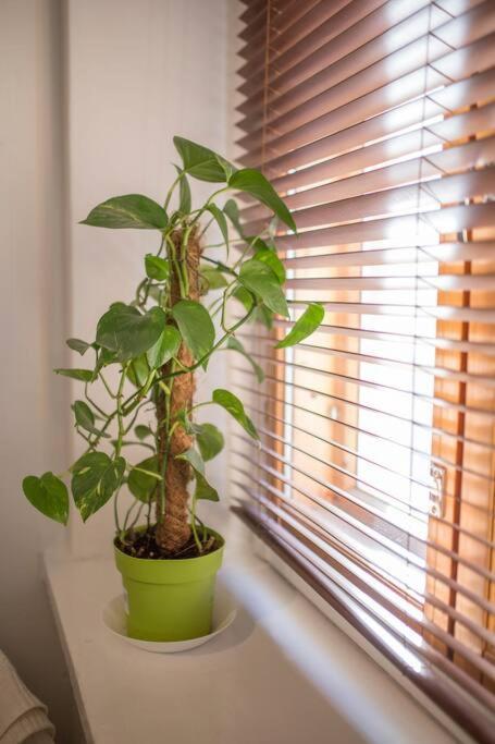 A Lovely Apartment Near Railway Station And Arena. تامبير المظهر الخارجي الصورة